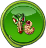 FAQ_HU_icon_cloudrow_407.png
