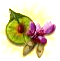 farmos_gazakor_emblema.png