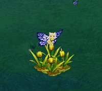 fullmoonoct2017fairybutterflies.gif