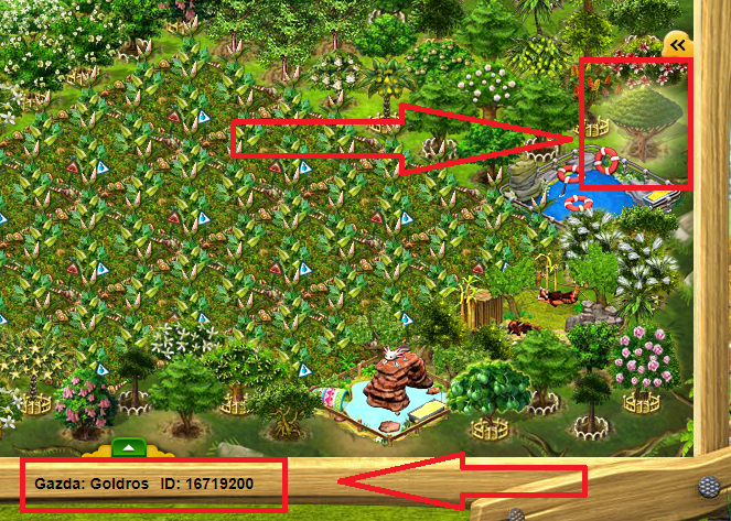 goldros.png
