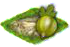 gooseberry.png