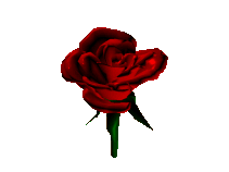 graphics-roses-341365.gif