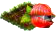 guarana.png