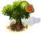 guava.png