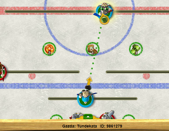 hoki.PNG