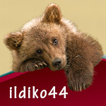 ildiko44ava.jpg