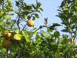 IMG_0764-atmeretezve-kis-meretre.jpeg