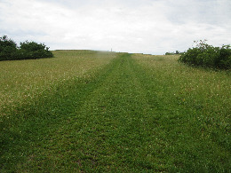 IMG_2358-atmeretezve-kis-meretre.jpeg