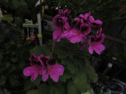 IMG_2397-atmeretezve-kis-meretre.jpeg
