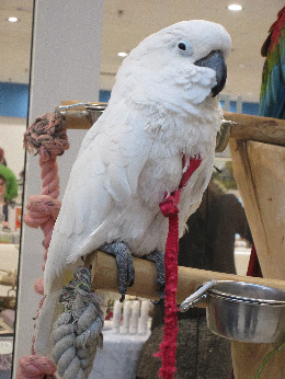 IMG_2420-atmeretezve-kis-meretre(1).jpeg