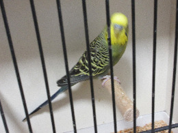 IMG_2436-atmeretezve-kis-meretre.jpeg