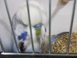 IMG_2468-atmeretezve-kis-meretre.jpeg