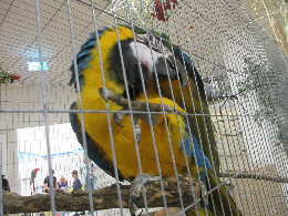 IMG_2472-atmeretezve-kis-meretre.jpeg