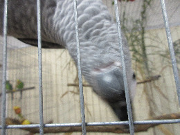 IMG_2480-atmeretezve-kis-meretre.jpeg