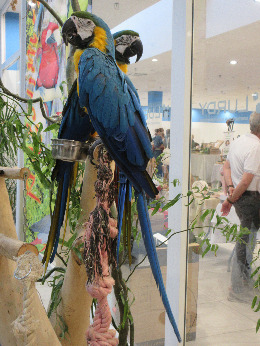 IMG_2507-atmeretezve-kis-meretre.jpeg