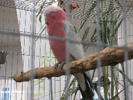 IMG_2519-atmeretezve-kis-meretre.jpeg