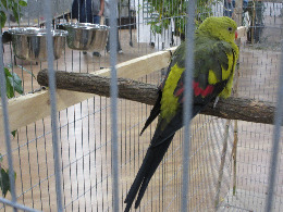 IMG_2522-atmeretezve-kis-meretre(1).jpeg