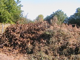 IMGA0501.JPG