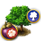 index.png