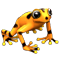 index1.png