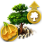 index12.png