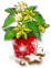 index12.png