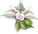 index14.png