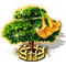 index15.png