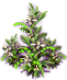 index17.png
