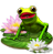 index20.png