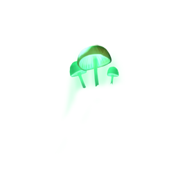 index21.png