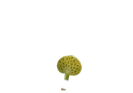 index22.png