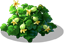 index22.png