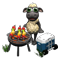 index22.png