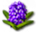 index24.png