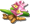 index25.png