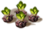 index25.png