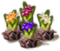 index26.png