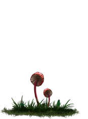 index28.png