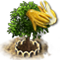 index33.png