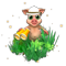 index34.png