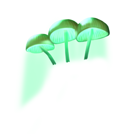 index35.png