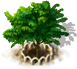 index35.png
