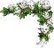 index36.png