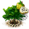 index36.png
