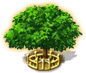 index4.png