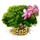 index40.png