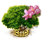 index41.png
