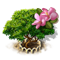 index43.png