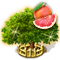 index45.png